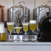 酒店用精酿啤酒设备100-2000L