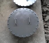 蒂瑞克供应不锈钢人孔水平吊盖板式平焊法兰人孔