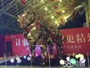 山东泰安一手活动项目发光镜面黄金狮租赁，庆典动态坐骑机械大象租售