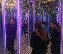 安徽芜湖公司专业策划玻璃钢镜子迷宫租赁，多种工艺蜂巢迷宫租售图片
