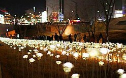 合肥灯光节厂家梦幻灯光节国际灯光节策划灯光展运作厂家图片3