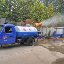 河北三轮雾炮洒水车厂家图片