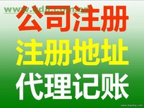 上海金山区公司营业执照变更金山区公司股权资金变更图片0