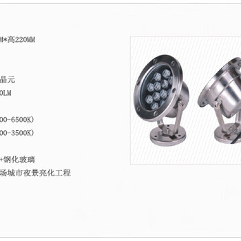 12W全彩DMX512水底灯