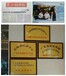 顺德好的疗养院，广州市公办养老院名单