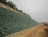 江苏扬州建筑施工工程材料护坡生态袋润杰公司供应