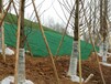 六盘水植草季绿化网环保三维植被网泰安润杰公司欢迎价格咨询