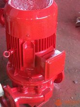 S码新标3CF一对一消防泵XBD6.0/80G-L立式单级消防泵图片