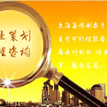 上海代写项目可行性报告公司商业文章可以作