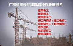 2020年深圳安监局焊工证查询考试成绩的网站图片2