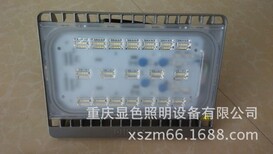 飞利浦BVP16170W泛光灯广告牌、围墙亮化灯具防水LED投光灯图片2