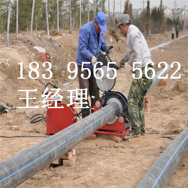 哈尔滨环保材料的pe钢丝网水管管厂