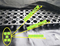 黑河屋顶绿化排水蓄水板安装示意图图片0