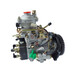 高壓共軌燃油泵NJ-VE4/11F1900L005