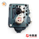 Fuel-injection-pump-X4-head-rotor (5)