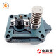 Fuel-injection-pump-X4-head-rotor (24)