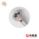 F00VC01346-Common-Rail-Injector-Valve (8)