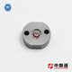 Injection-Valve-Plate (14)