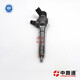 0-445-110-443-Injector-CR (10)