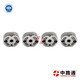 Common-Rail-Injector-Valve-Plate (11_1