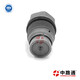Common-Rail-Pressure-Relief-Limiter-for-Bosch (12)