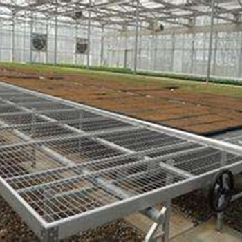 温室热镀锌养花苗床花卉苗床的管理