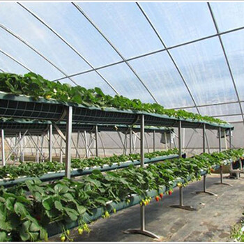 无土栽培草莓槽/草莓立体种植架-新型农业种植-河北华耀