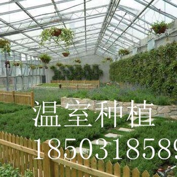 溫室種植-溫室草莓種植-溫室育苗床-溫室種植技術(shù)