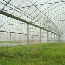 塑料大棚-溫室設施-農業專用設備-保溫性好造價低圖片