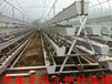 新型立体农业-PVC草莓立体种植槽-增产增效