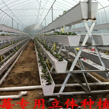 新型立体农业-PVC草莓立体种植槽-增产增效