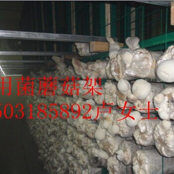 食用菌蘑菇養(yǎng)殖網(wǎng)片，聯(lián)系廠家安平華耀