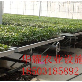 天津溫室潮汐苗床/潮汐式灌溉技術(shù)廠家華耀農(nóng)業(yè)