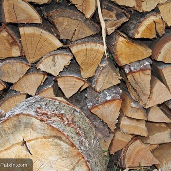 进口木材所需要的进口报关资料有哪些