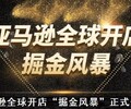 跨境电商无货源招商，亚马逊ERP系统代理定制