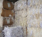 金山区专业销毁废纸公司-保密纸张废纸粉碎销毁中心