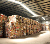杨浦区废纸回收公司电话-杨浦废旧纸板箱高价回收