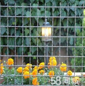 現(xiàn)貨鍍鋅軋花網(wǎng)養(yǎng)豬軋花網(wǎng)價格
