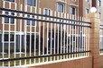 东莞锌钢围墙护栏学校围栏市政围栏厂区围栏生产厂家