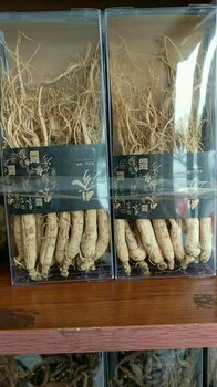 蒲公英根茶泡酒关注就送