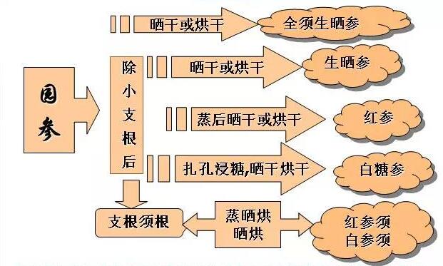 海安赤五加参粉（农家自种）