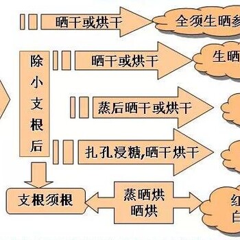 长白山参煲汤(产地)