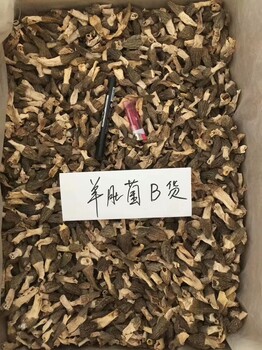 珠海好参区别找谁买