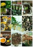 鹿鞭药酒关注就送图片5