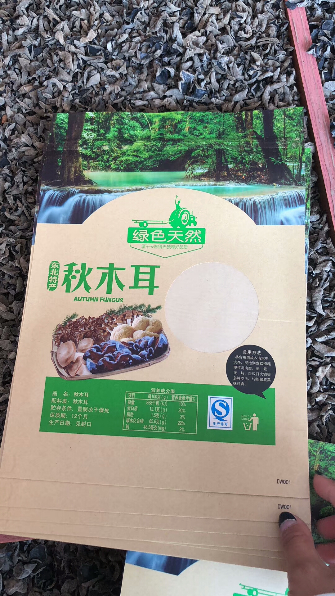 包头鲜参切片