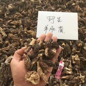 三河微菜疗效（气候种植）