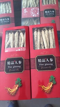 红参防衰老(批发)