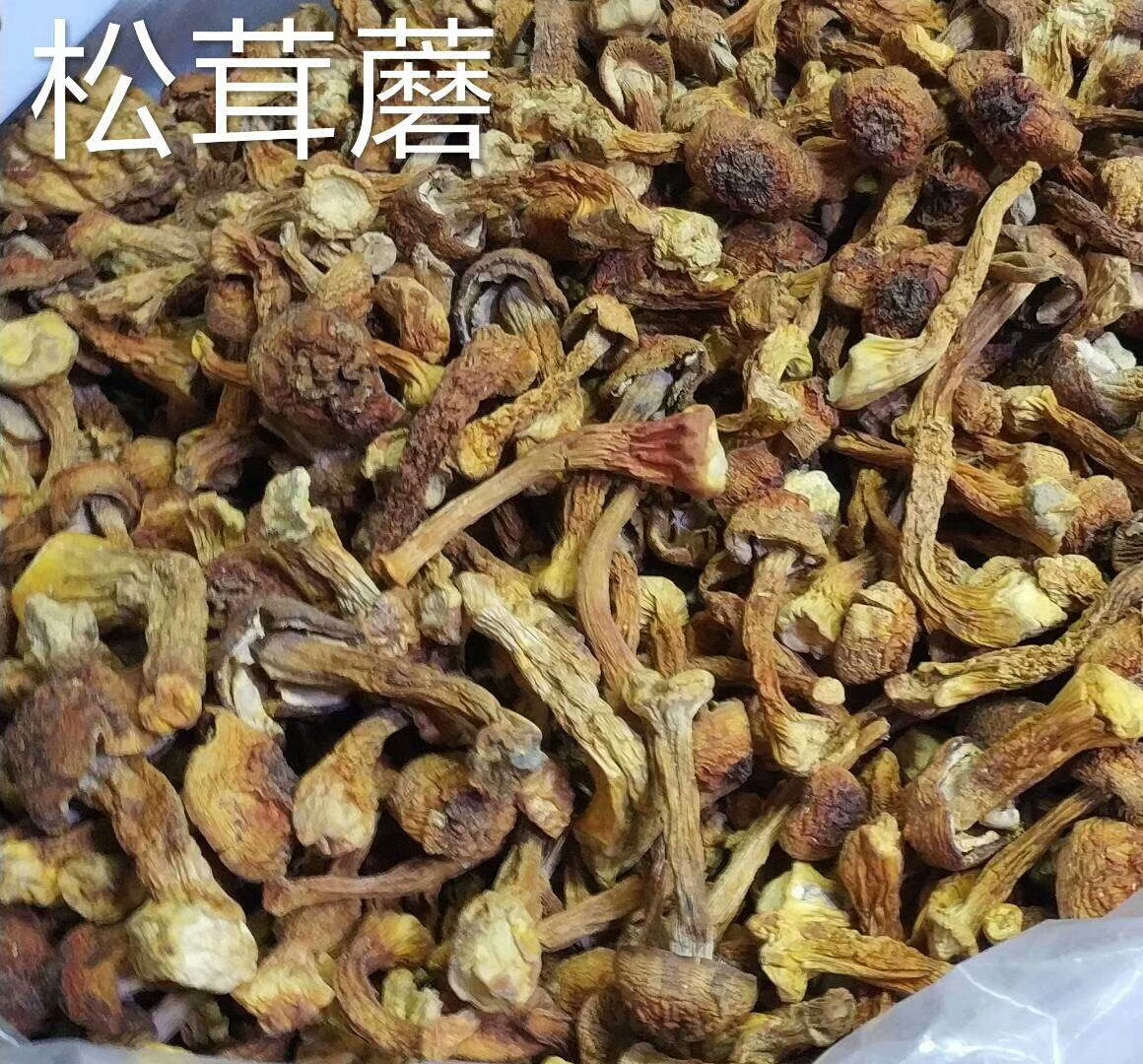 雪蜜诚信高山养殖(活力四射)