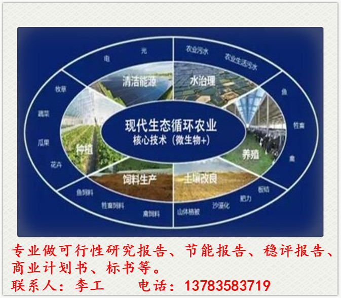 渭滨编写可行性报告公司可以做可行报告