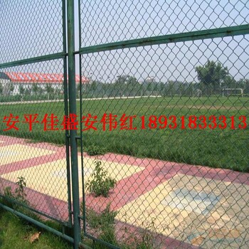 實(shí)體廠家供應(yīng)體育場圍欄材質(zhì)，體育場圍欄網(wǎng)墻，操場勾花網(wǎng)